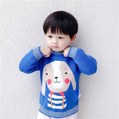 Baby Blue Sweater With Animals